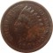 США, 1 цент, 1901, голова индейца, XF