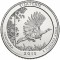 25 центов, США, 2015, P, национальный парк Kisatchie