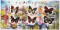 Блок марок «Бабочки» Конго люкс