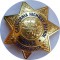 США, Калифорния, нагрудный знак офицера дорожной полиции. Тяжелый металл, клейма