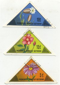 ��������� / ������� 133 / ��� � 19954