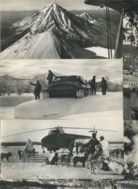 �������� (����������) / ������� 129 / ��� � 17733