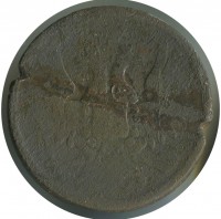      1917 /  458 () /   194101