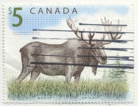 ��������� / ������� 133 / ��� � 19926