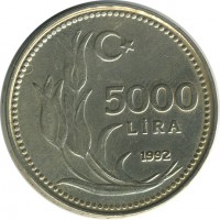 ������ � ����������� / ������� 156 / ��� � 25062