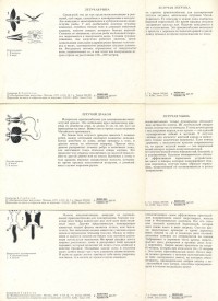 �������� (����������) / ������� 144 / ��� � 17739