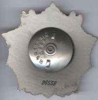 ����������� � ������, ������ / ������� 153 vip (������) / ��� � 161404