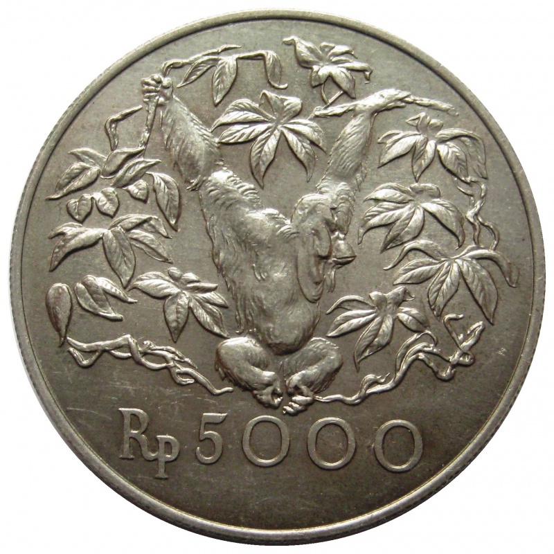 5000 рупий. Золотая монета Samoa i Sisif. 5000 Рупи вид.